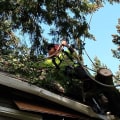 Experience The Difference With Professional Tree Care Services In Portland, OR